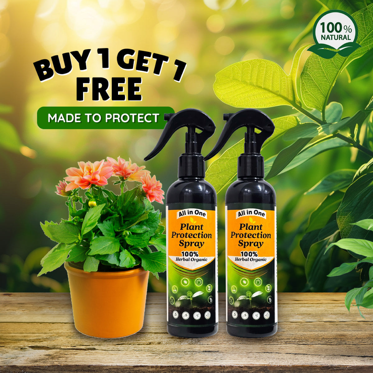 LeafGuard All In One Plant Protection Spray Buy 1 Get 1 Free leafguard-all-in-one-plant-protection-spray-buy-1-get-1-free
