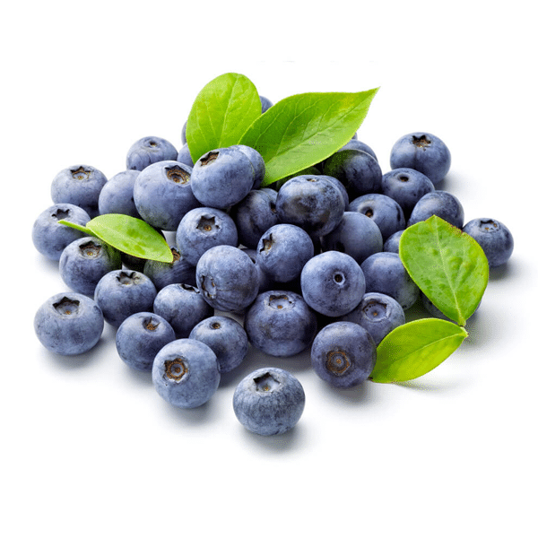 Giant Blueberry Fruit Seeds|🫐 Flat 50% Saving🫐