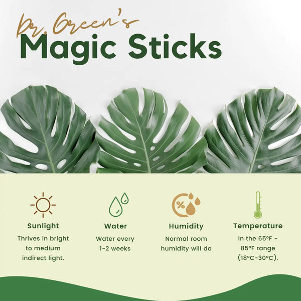 Plant Grow Fertilizer Sticks (Pack of 3)