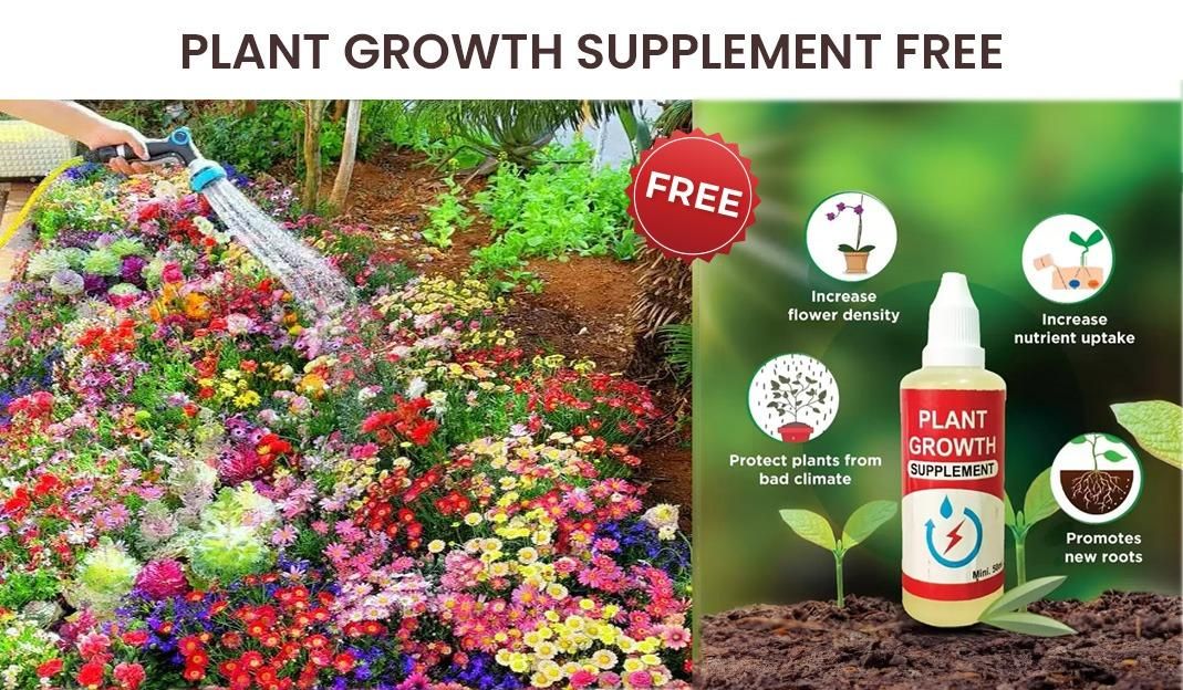 Varieties of Flower Seeds (Pack of 100) And Free Plant Growth Supplement