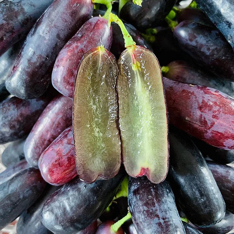 Sweet Sapphire Grape Seeds | Limited Stock | Order Now