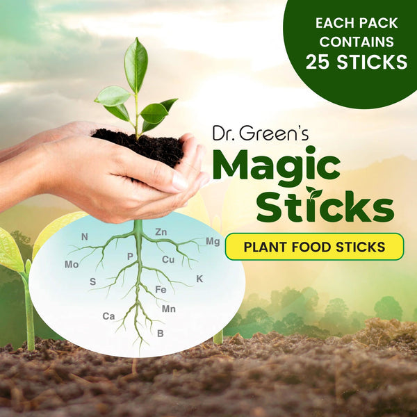 Plant Grow Fertilizer Sticks (Pack of 3)