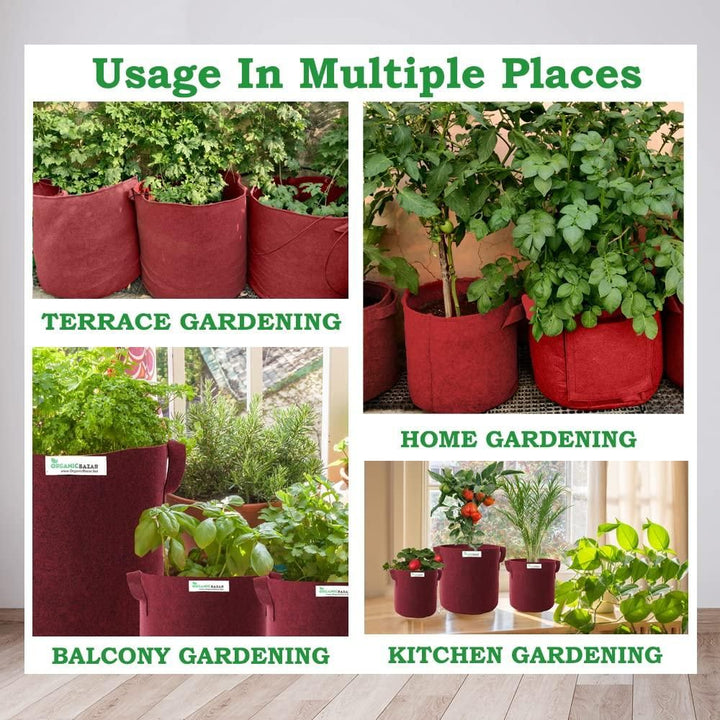 Tulsi Plant Grow Bag for Home/Gardening