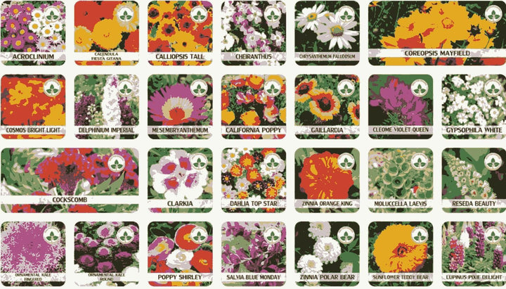 100 Varieties of Flower Seeds (Pack of 100) |🔥FLAT 50% OFF SALE🔥