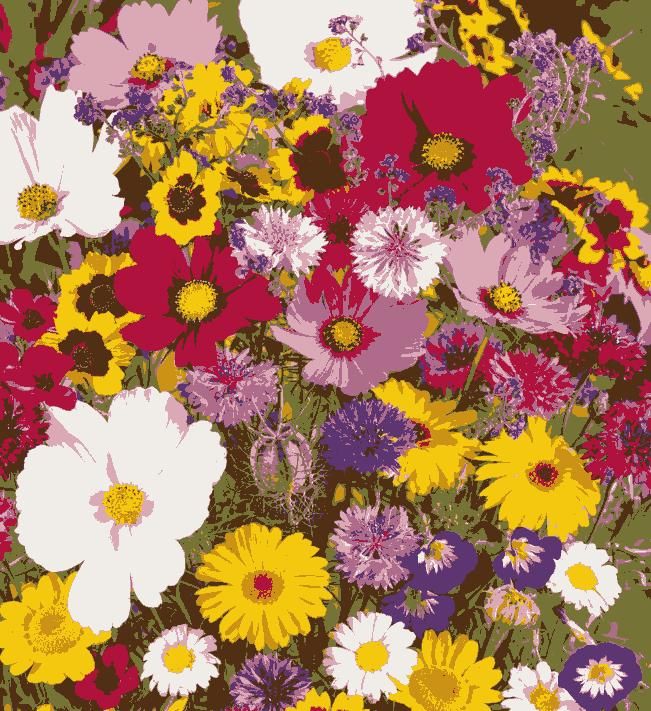 100 Varieties of Flower Seeds (Pack of 100) |🔥FLAT 50% OFF SALE🔥