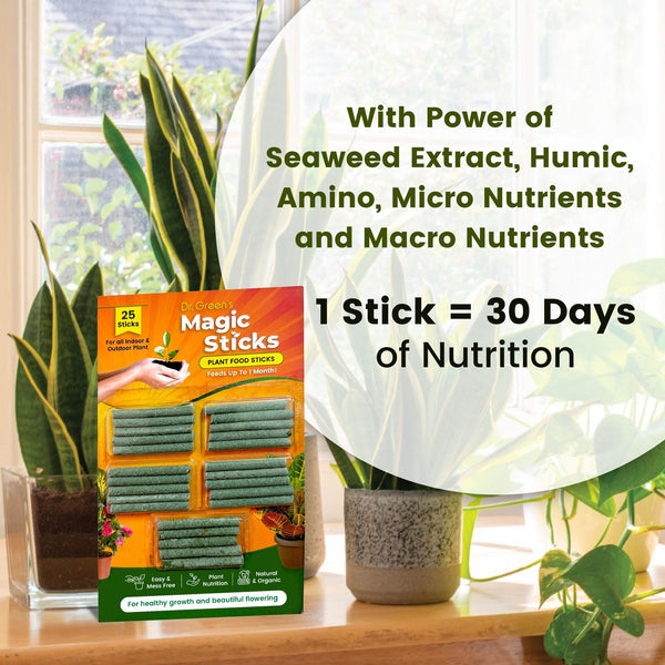 Plant Grow Fertilizer Sticks (Pack of 3)