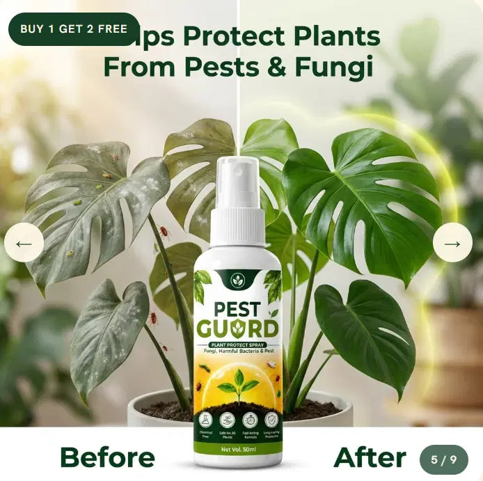 Pest Guard Plant Protect Spray - 🔥Buy 1 Get 2 Free🔥🔥