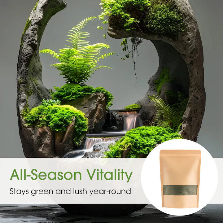 Premium-Grade Moss Spore Powder |🔥Free Plant Growth Supplement🔥