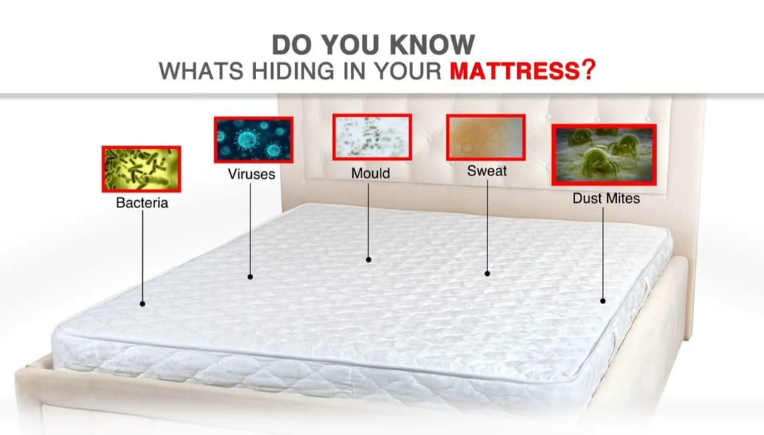King size Mattress Protector with 2 Pillow Protector